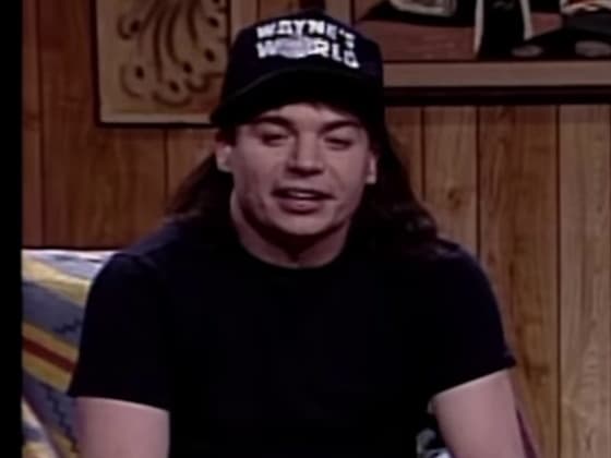 Wayne's World: At the Movies