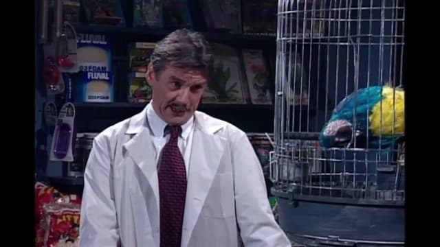 Dead Parrot