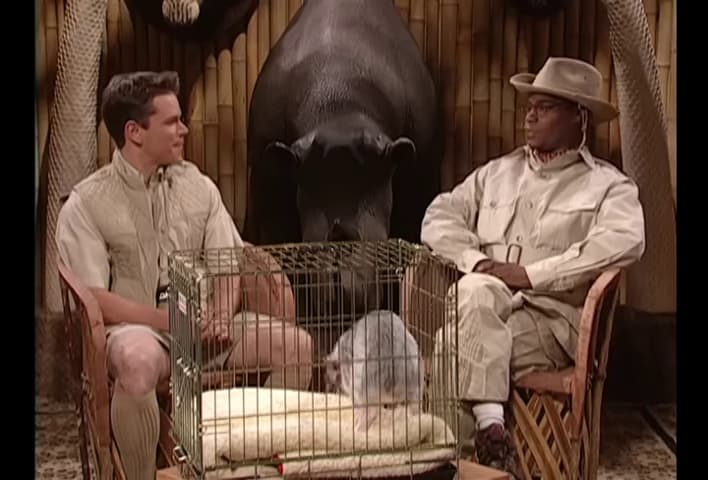 Brian Fellow's Safari Planet: Porcupine and a Pig