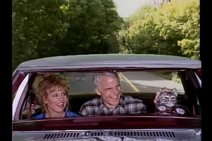 Toonces, the Cat Who Could Drive a Car