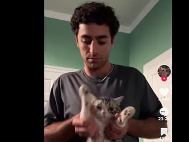 Dancing with cat Dancing with cat